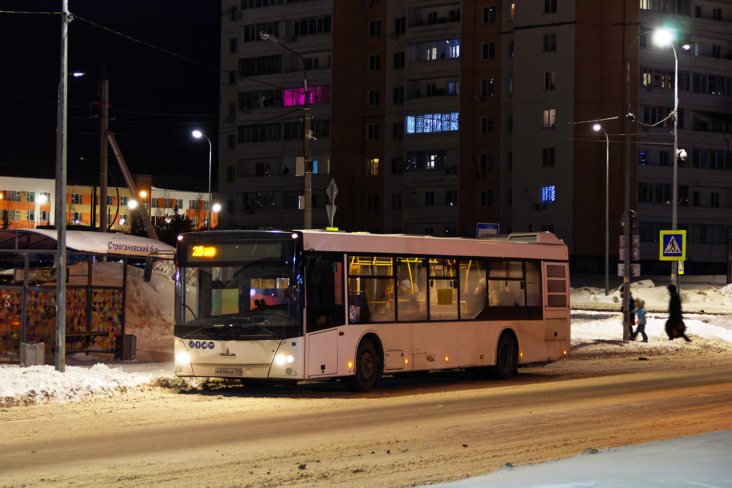 Пермский край, МАЗ-203.016 № Н 598 НВ 159