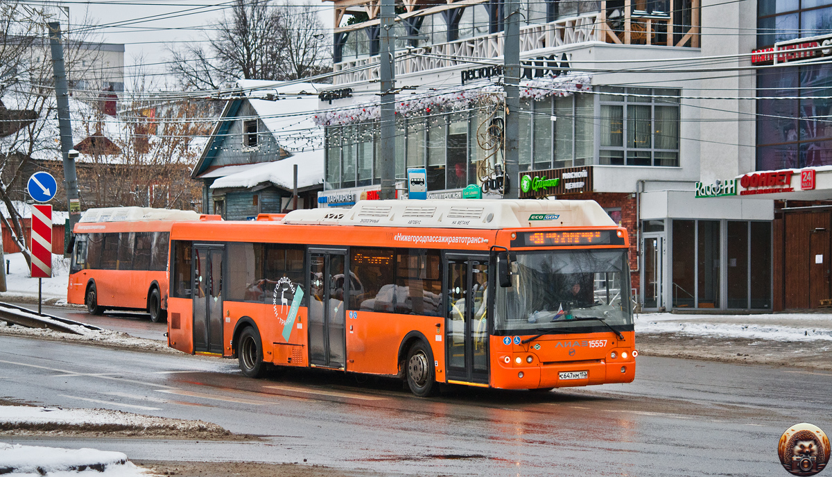 Нижегородская область, ЛиАЗ-5292.67 (CNG) № 15557