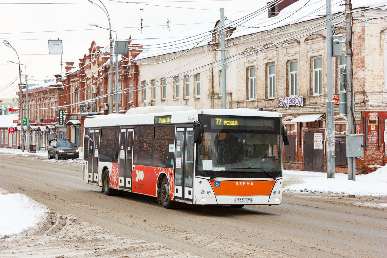 Пермский край, МАЗ-203.016 № Н 822 МЕ 159