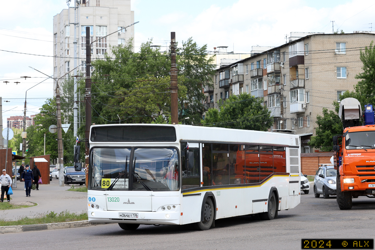 Воронежская область, МАЗ-103.465 № 13020