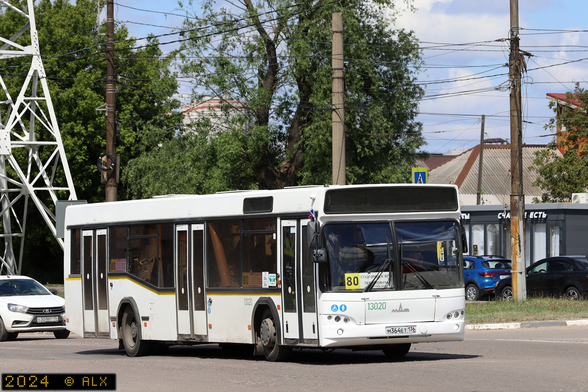 Воронежская область, МАЗ-103.465 № 13020