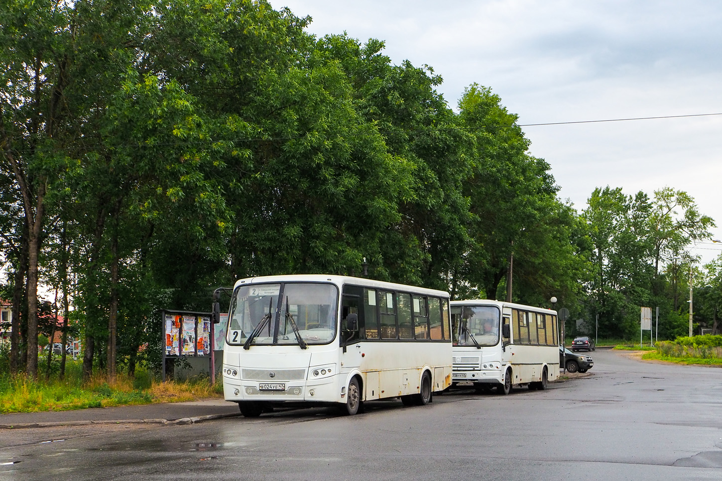 Ленинградская область, ПАЗ-320412-05 "Вектор" № 5894