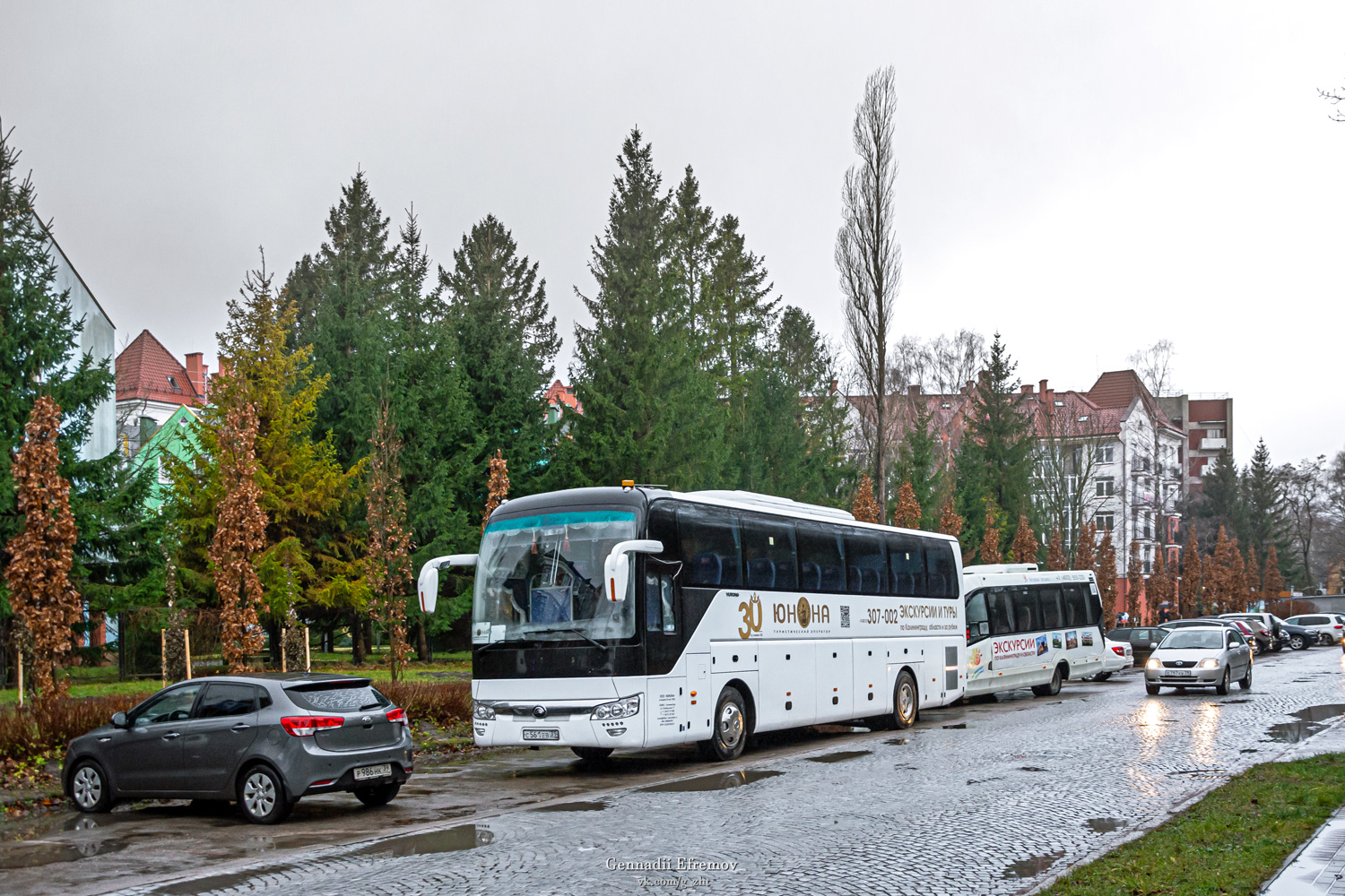 Калининградская область, Yutong ZK6122H9 № С 561 ЕВ 39; Калининградская область, FOX-2250 № О 868 ВВ 152