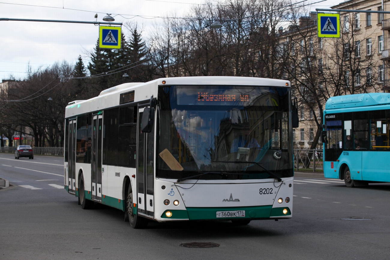 Санкт-Петербург, МАЗ-203.085 № 8202