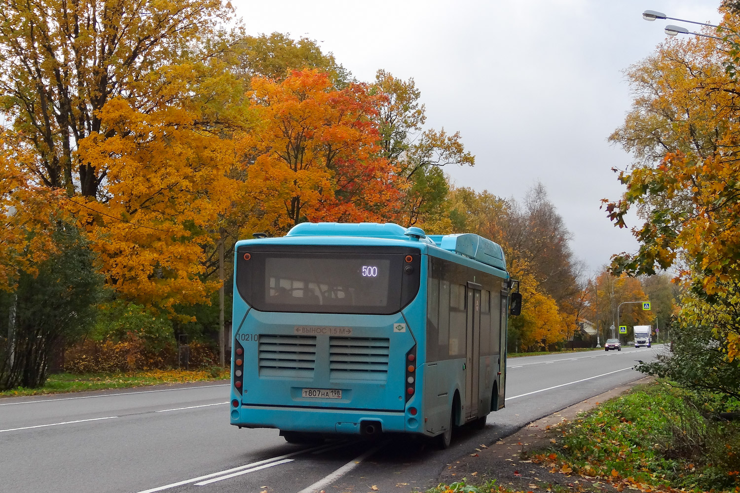 Ленинградская область, Volgabus-4298.G4 (CNG) № 10210