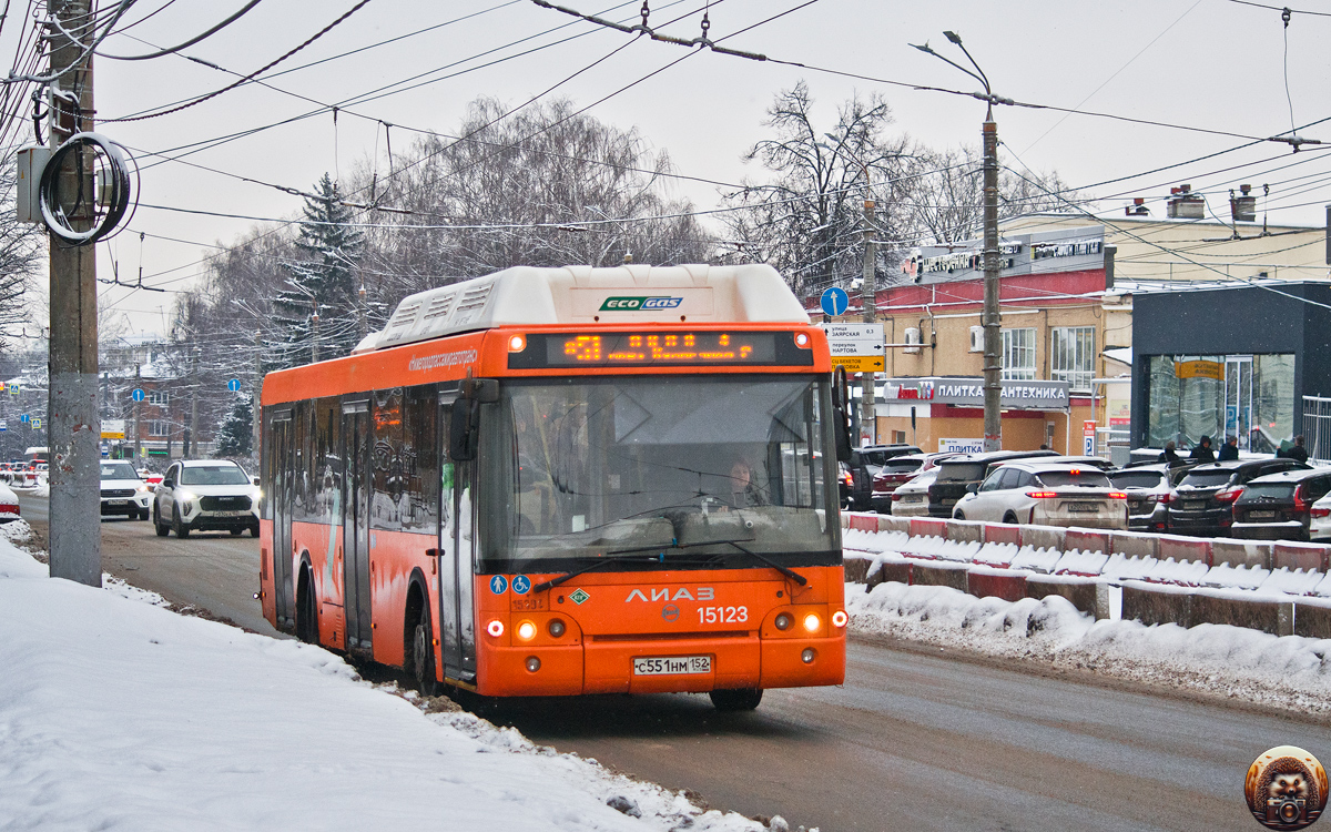 Нижегородская область, ЛиАЗ-5292.67 (CNG) № 15123