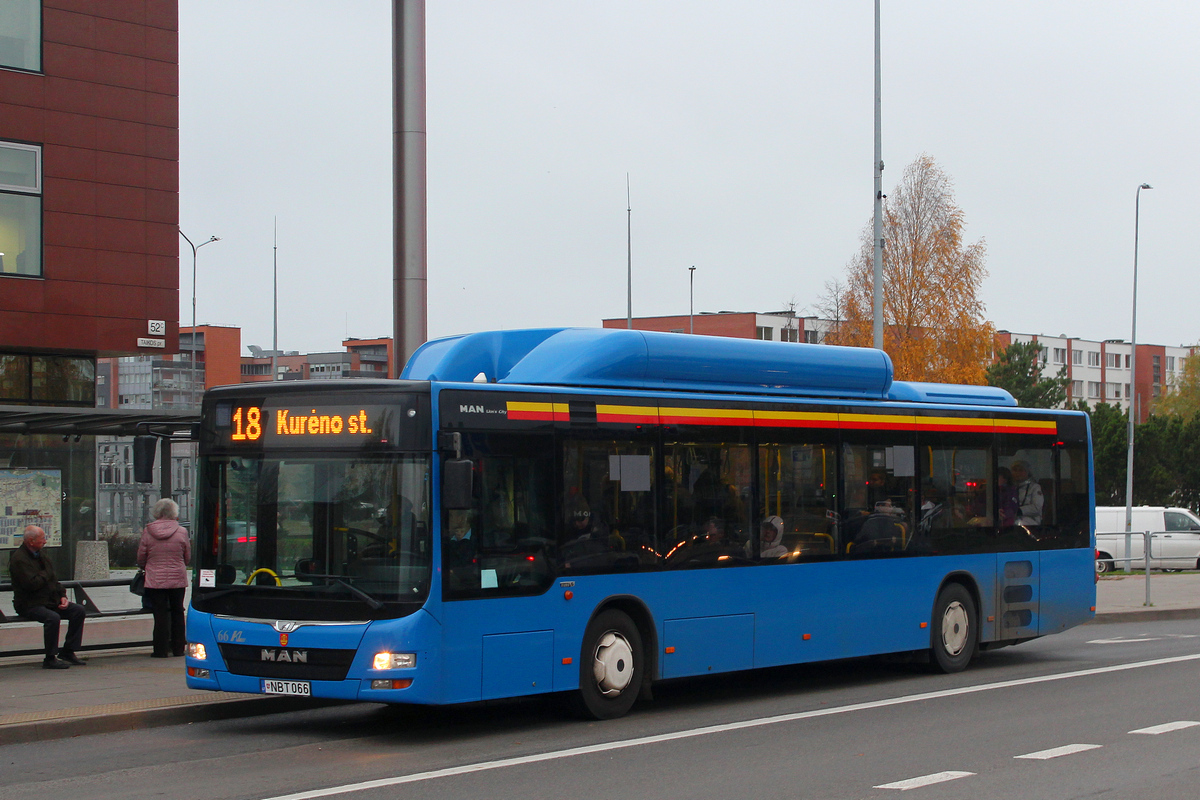 Литва, MAN A21 Lion's City NL313 CNG № 66