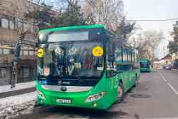 4598 КБ