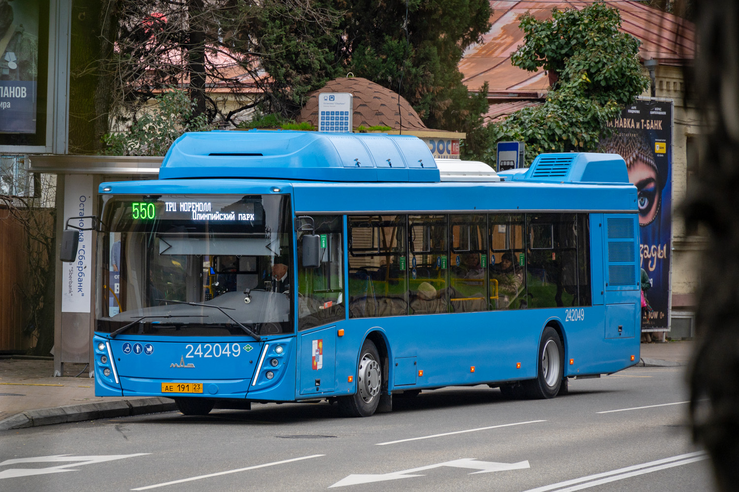 Краснодарский край, МАЗ-203.С65 № 242049