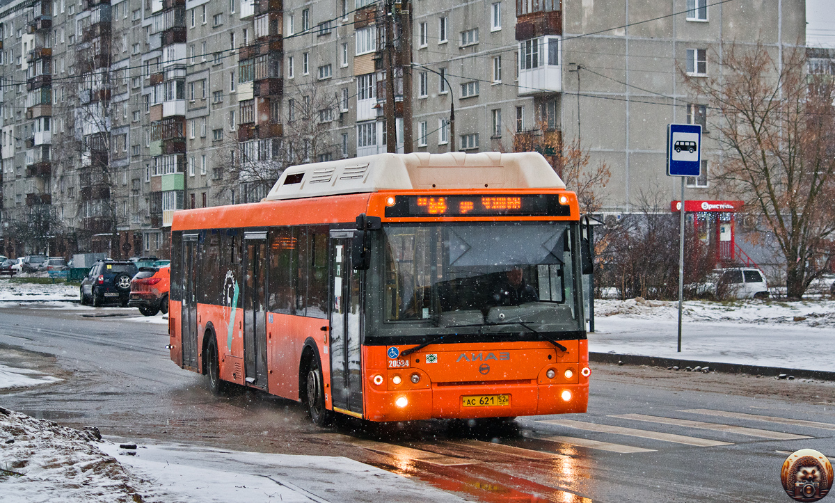 Нижегородская область, ЛиАЗ-5292.67 (CNG) № 20534