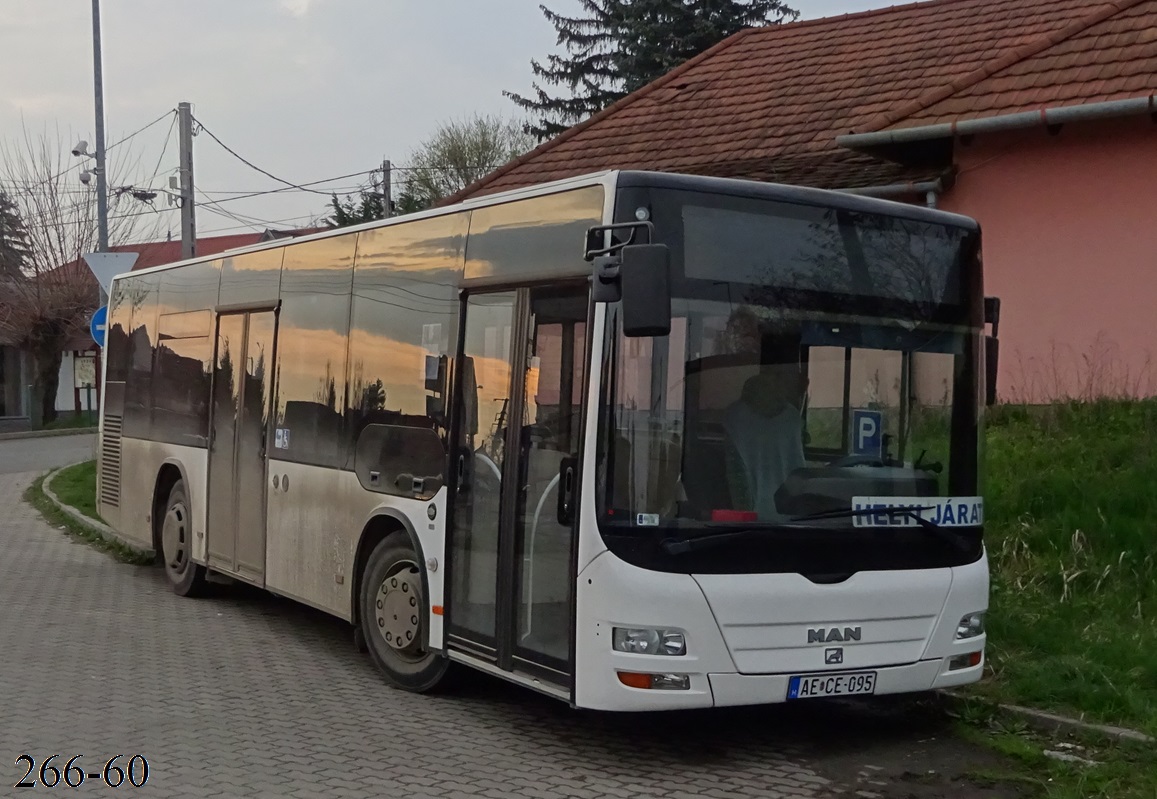 Венгрия, Göppel (MAN A35 Lion's City M NM283.3) № AE CE-095