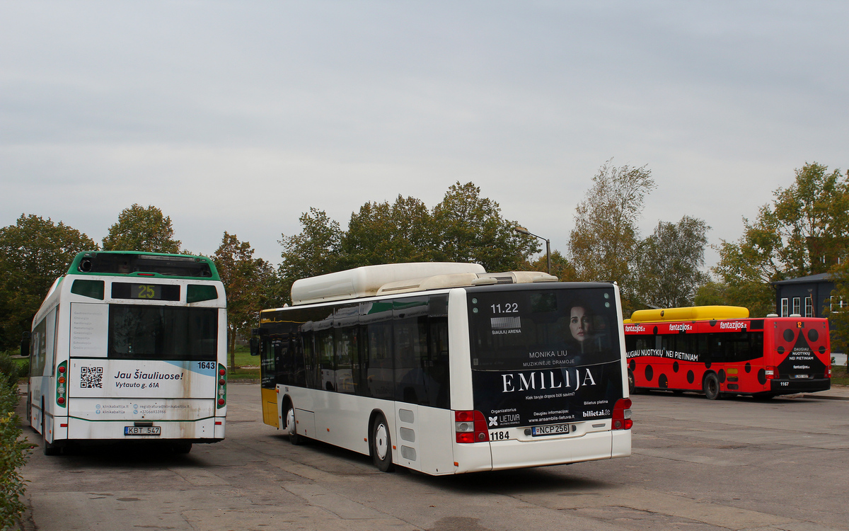 Литва, MAN A21 Lion's City NL313 CNG № 1184