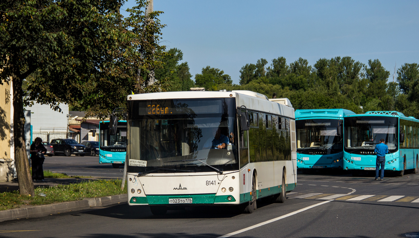 Санкт-Петербург, МАЗ-203.085 № 8141