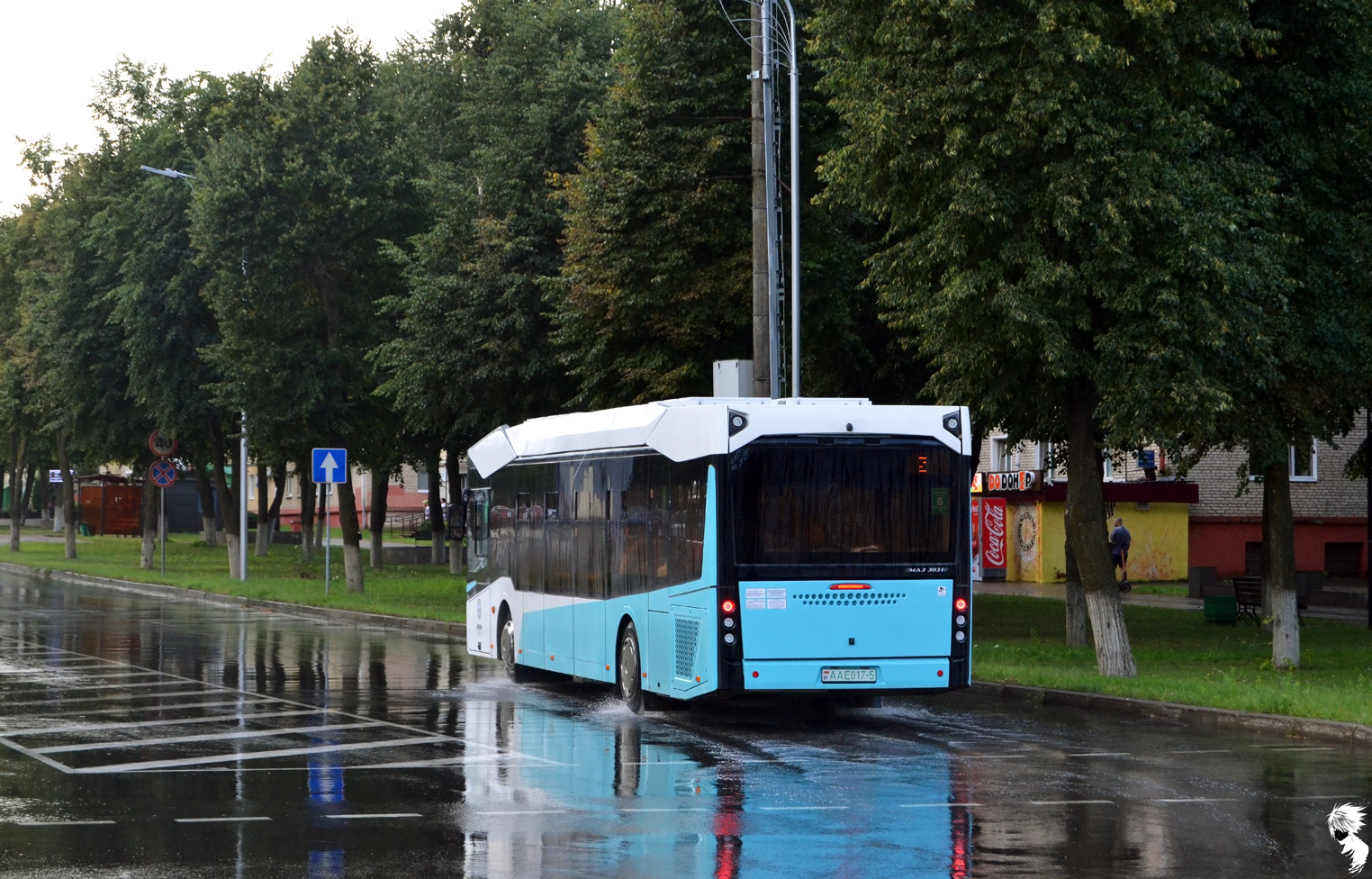 Минская область, МАЗ-303.E22 № АА Е017-5