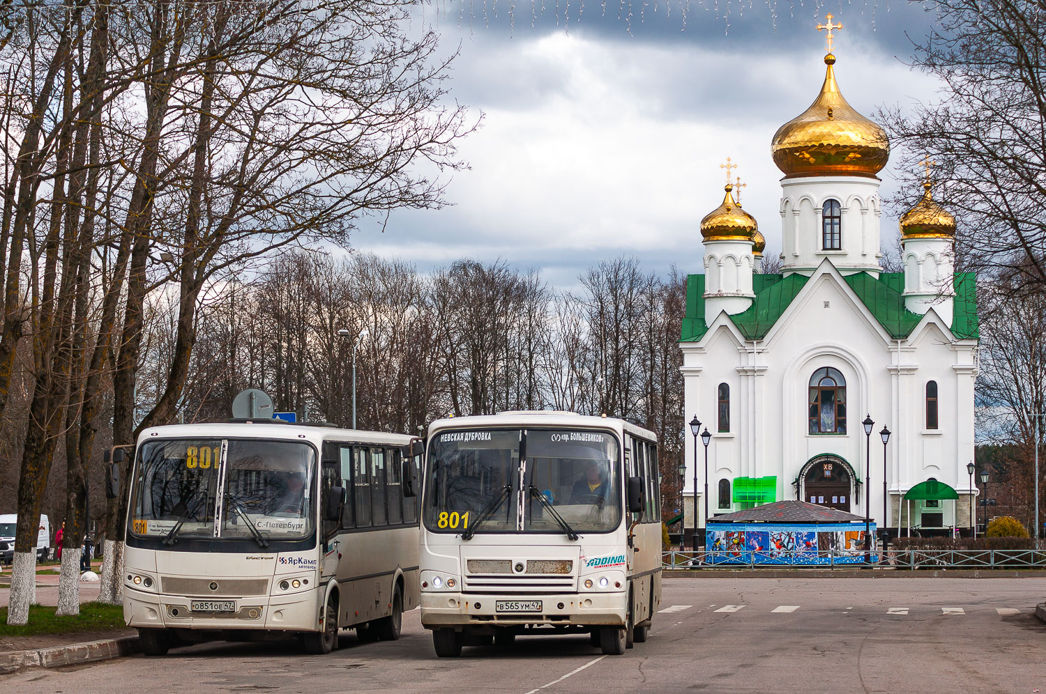 Ленинградская область, ПАЗ-320402-05 № В 565 УМ 47