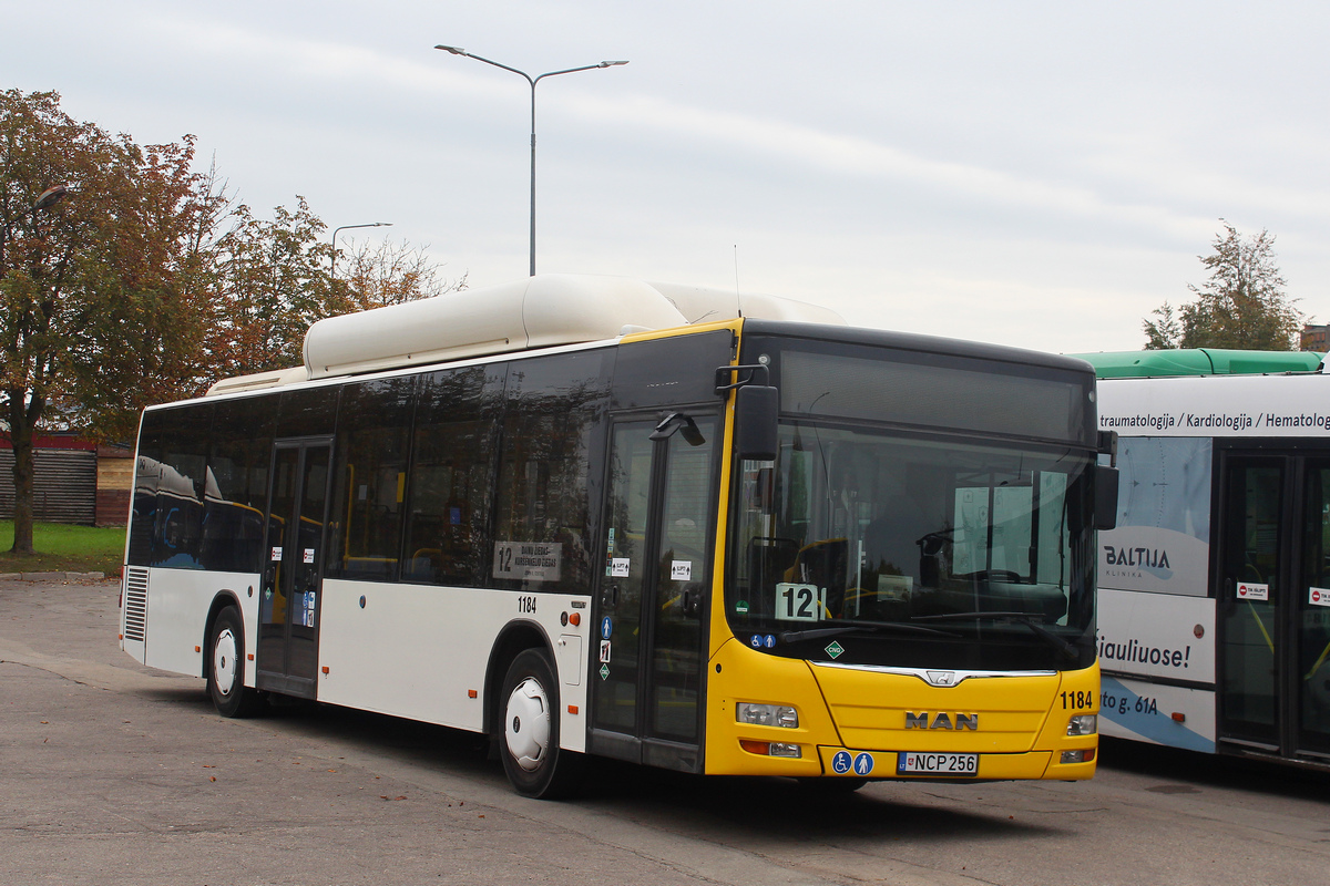 Литва, MAN A21 Lion's City NL313 CNG № 1184