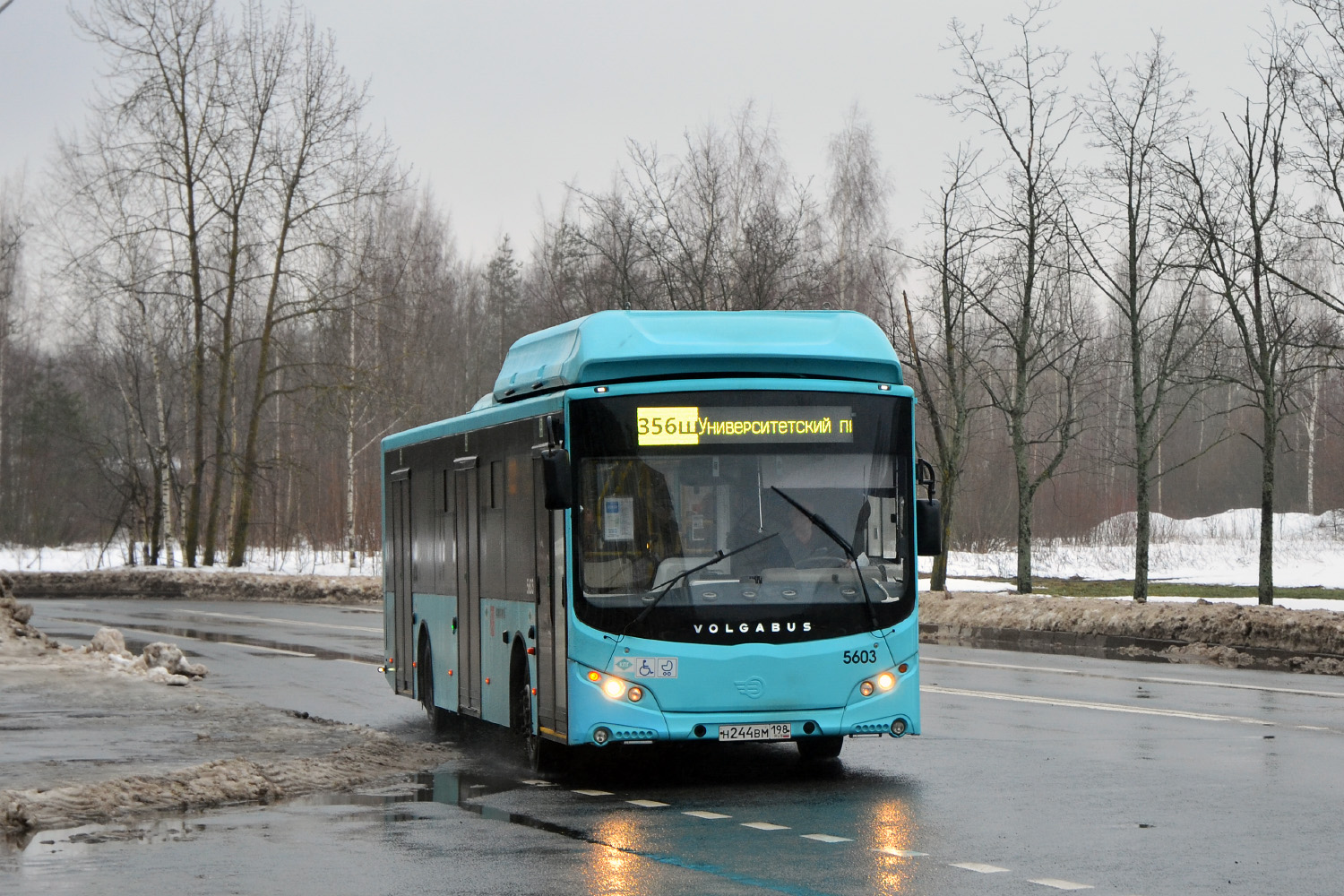 Санкт-Петербург, Volgabus-5270.G4 (CNG) № 5603