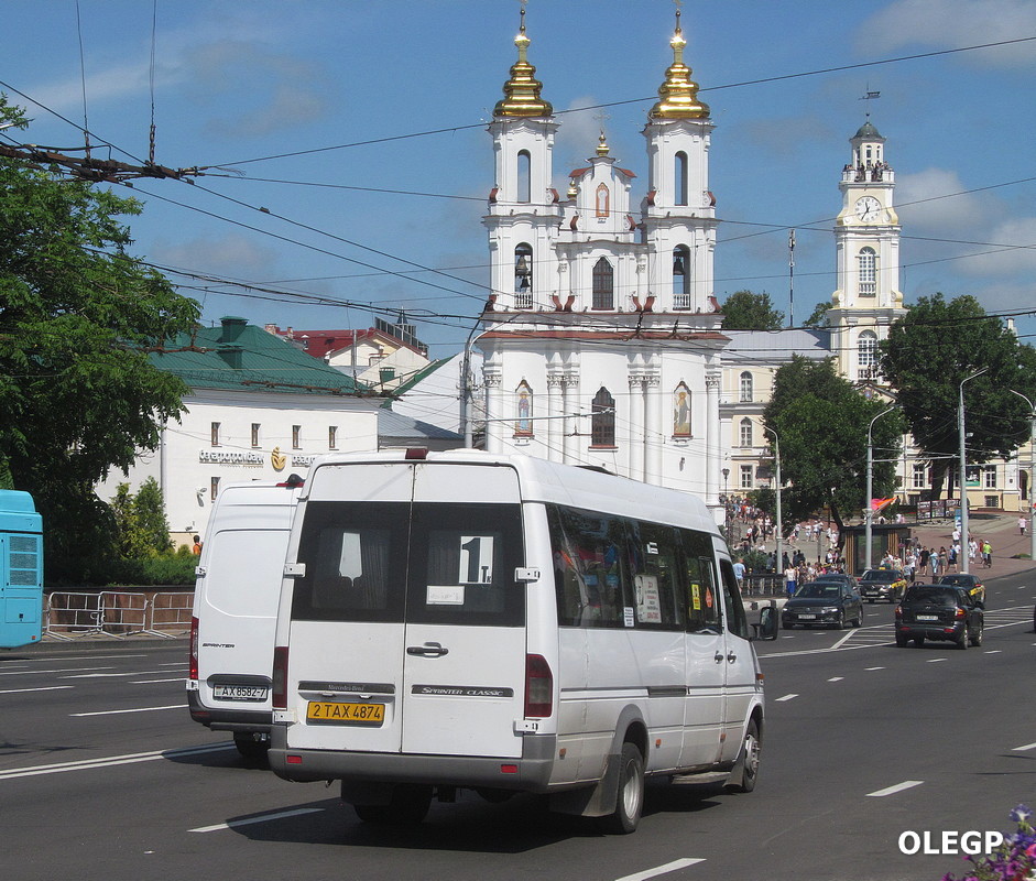 Витебская область, Луидор-223203 (MB Sprinter Classic) № 2 ТАХ 4874