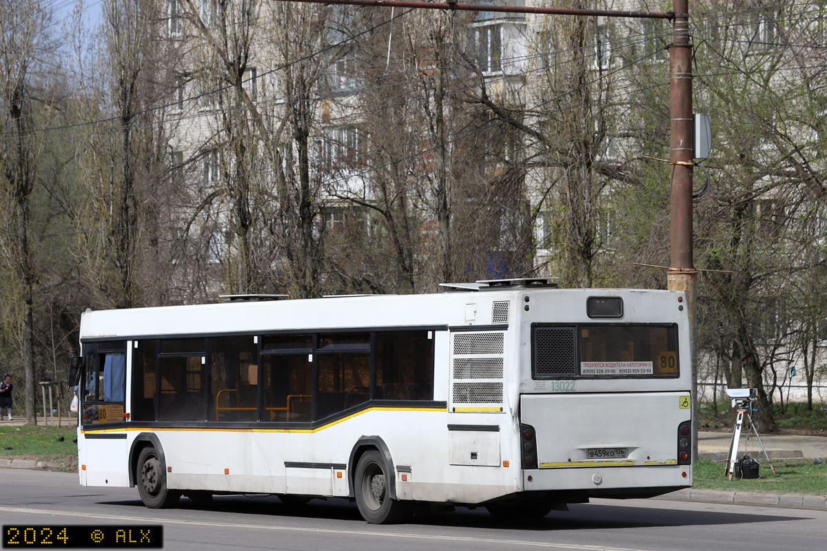 Воронежская область, МАЗ-103.465 № 13022