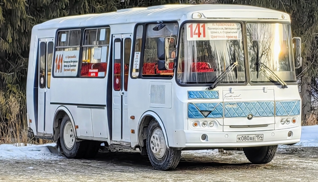 Новосибирская область, ПАЗ-32054 № К 080 АЕ 154