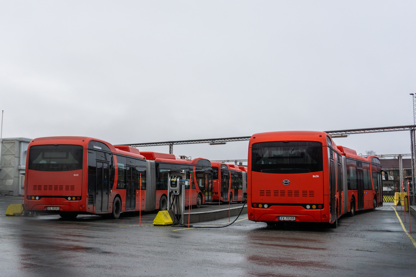 Норвегия, BYD K11U № 8432; Норвегия, BYD K11U № 8436