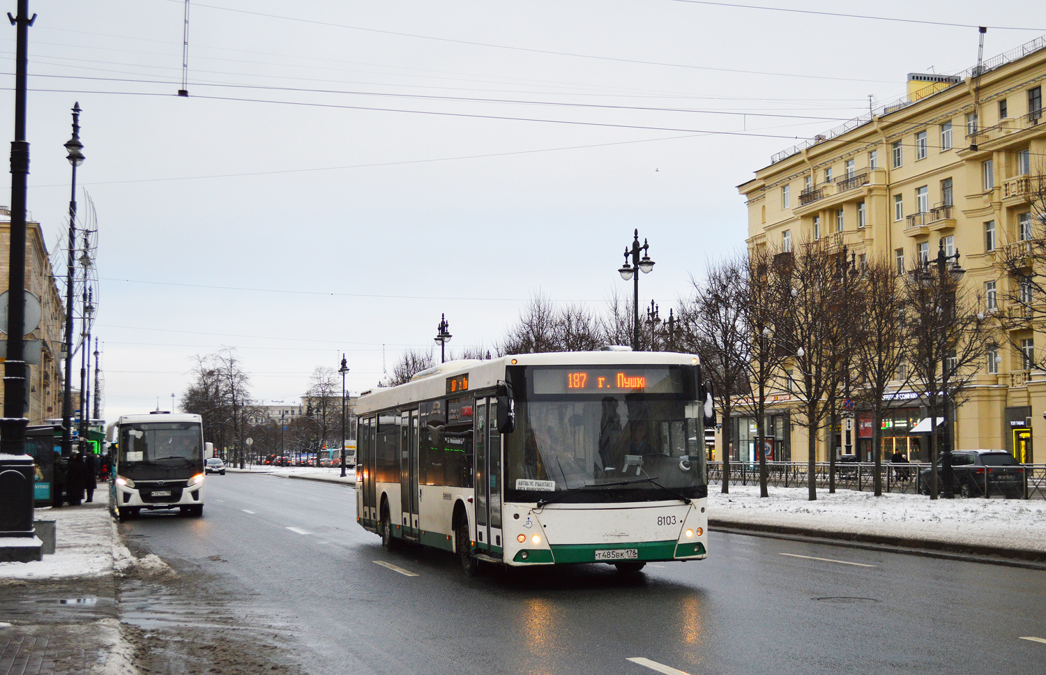 Санкт-Петербург, МАЗ-203.085 № 8103