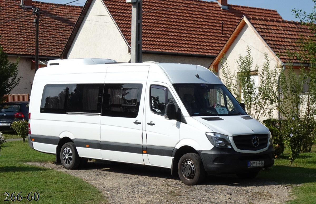 Венгрия, Mercedes-Benz Sprinter W906 516CDI № NYT-714