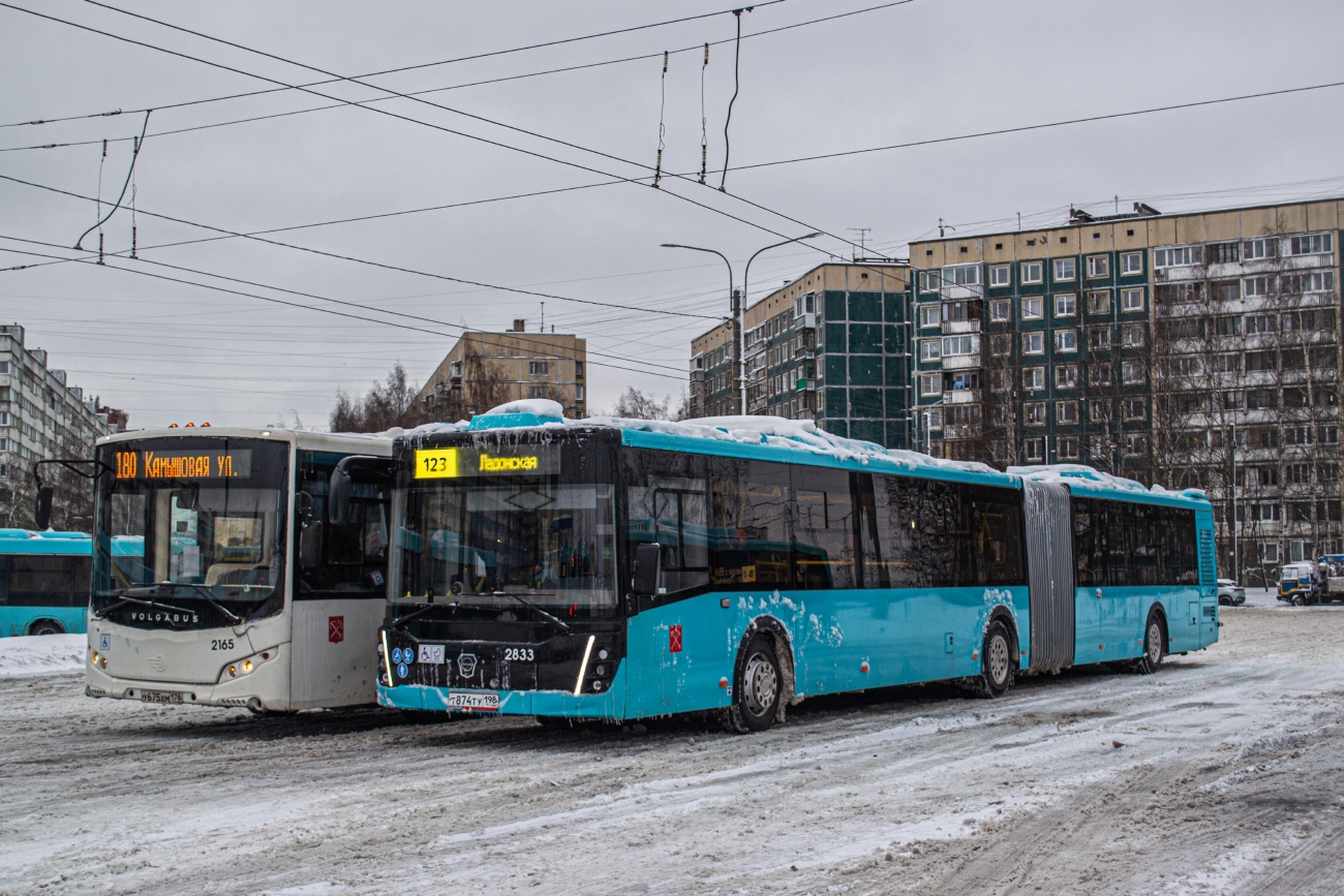 Санкт-Петербург, ЛиАЗ-6213.65 № 2833