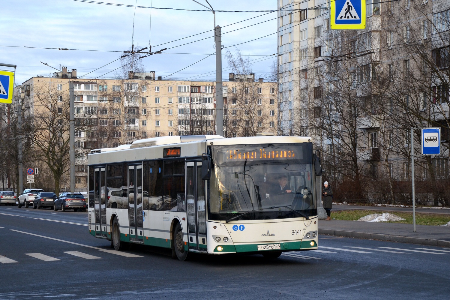 Санкт-Петербург, МАЗ-203.085 № 8441