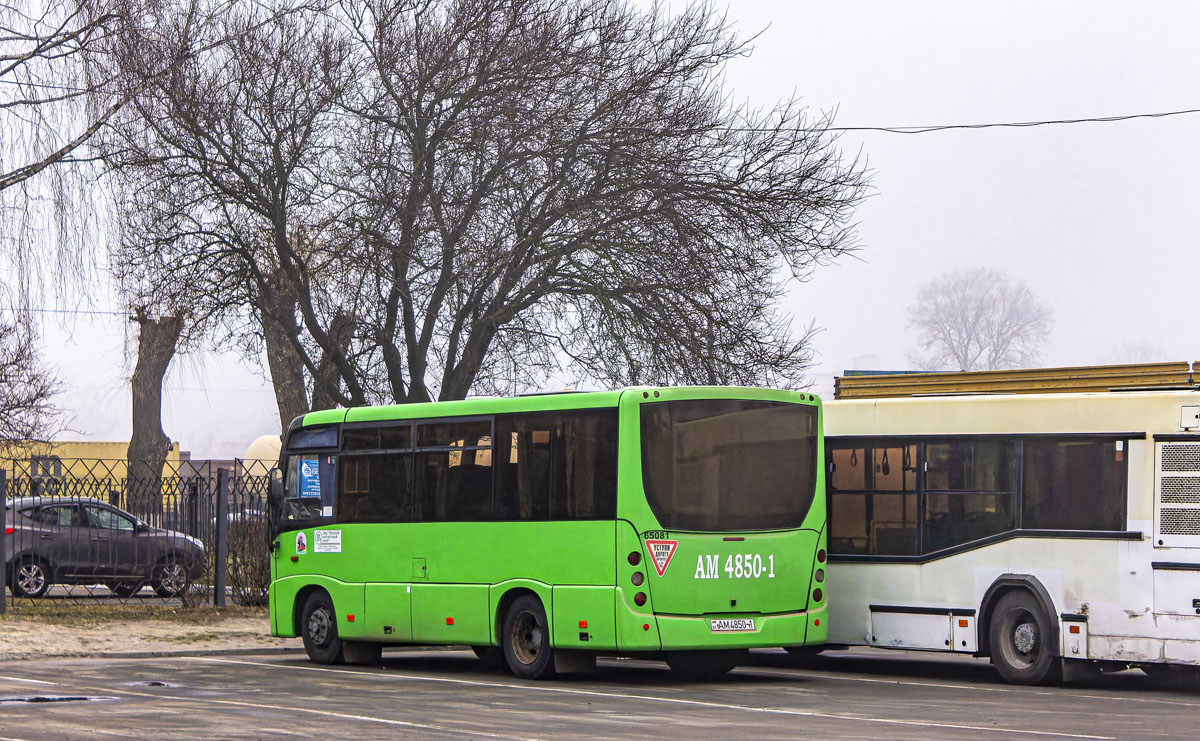 Брестская область, МАЗ-241.030 № 65081