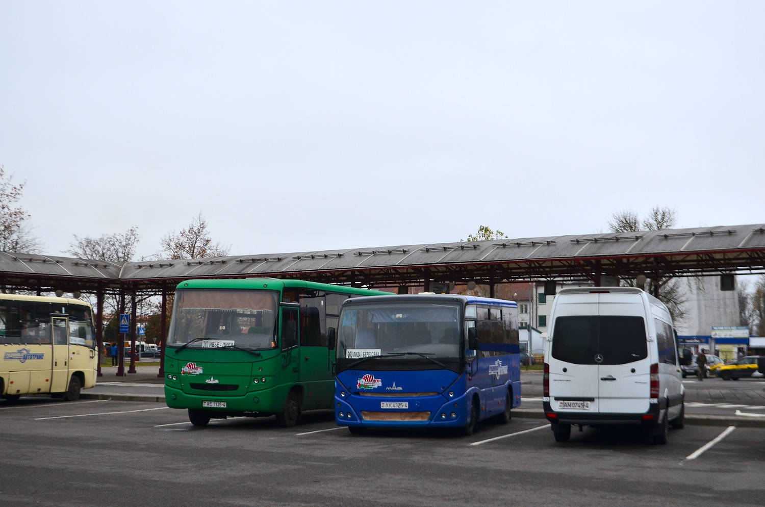 Гродненская область, МАЗ-241.030 № 010454; Гродненская область, Mercedes-Benz Sprinter № АМ 0745-4