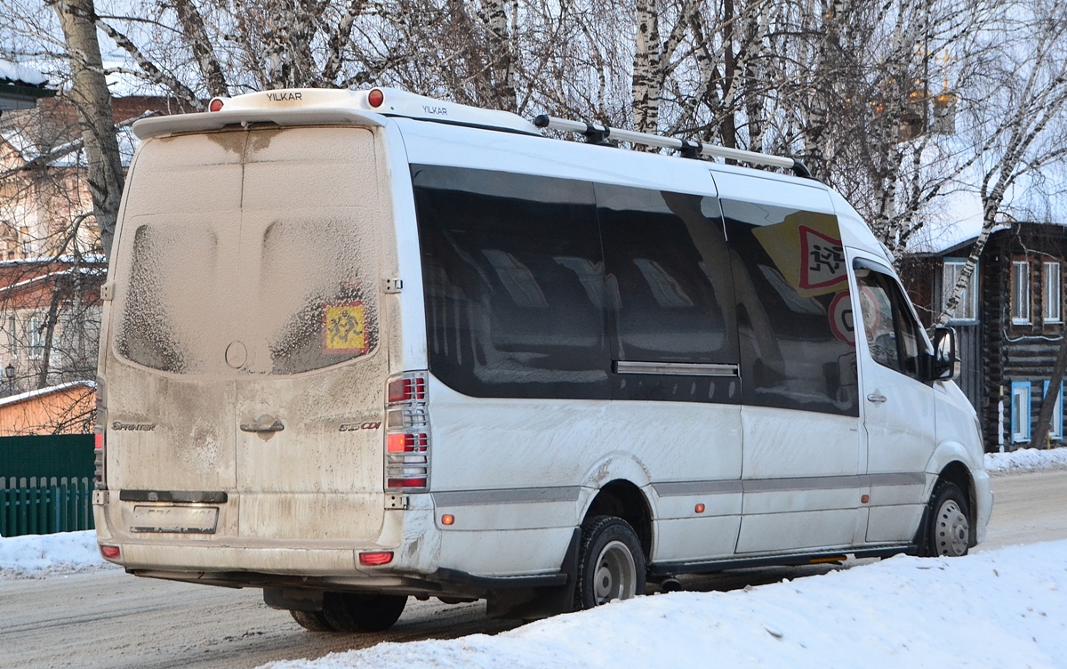 Свердловская область, Луидор-22360C (MB Sprinter) № О 536 РУ 196