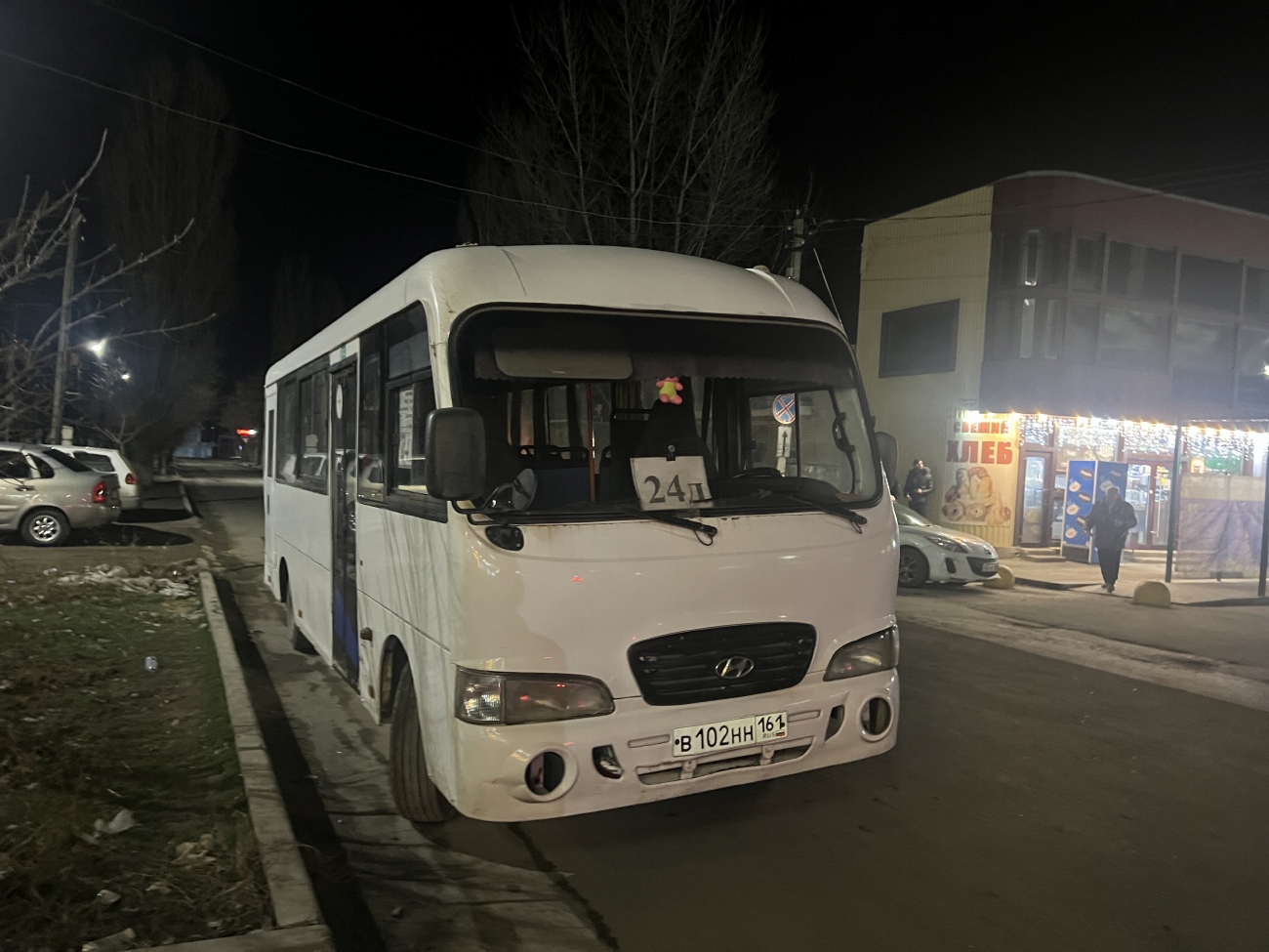 Ростовская область, Hyundai County LWB C09 (ТагАЗ) № В 102 НН 161