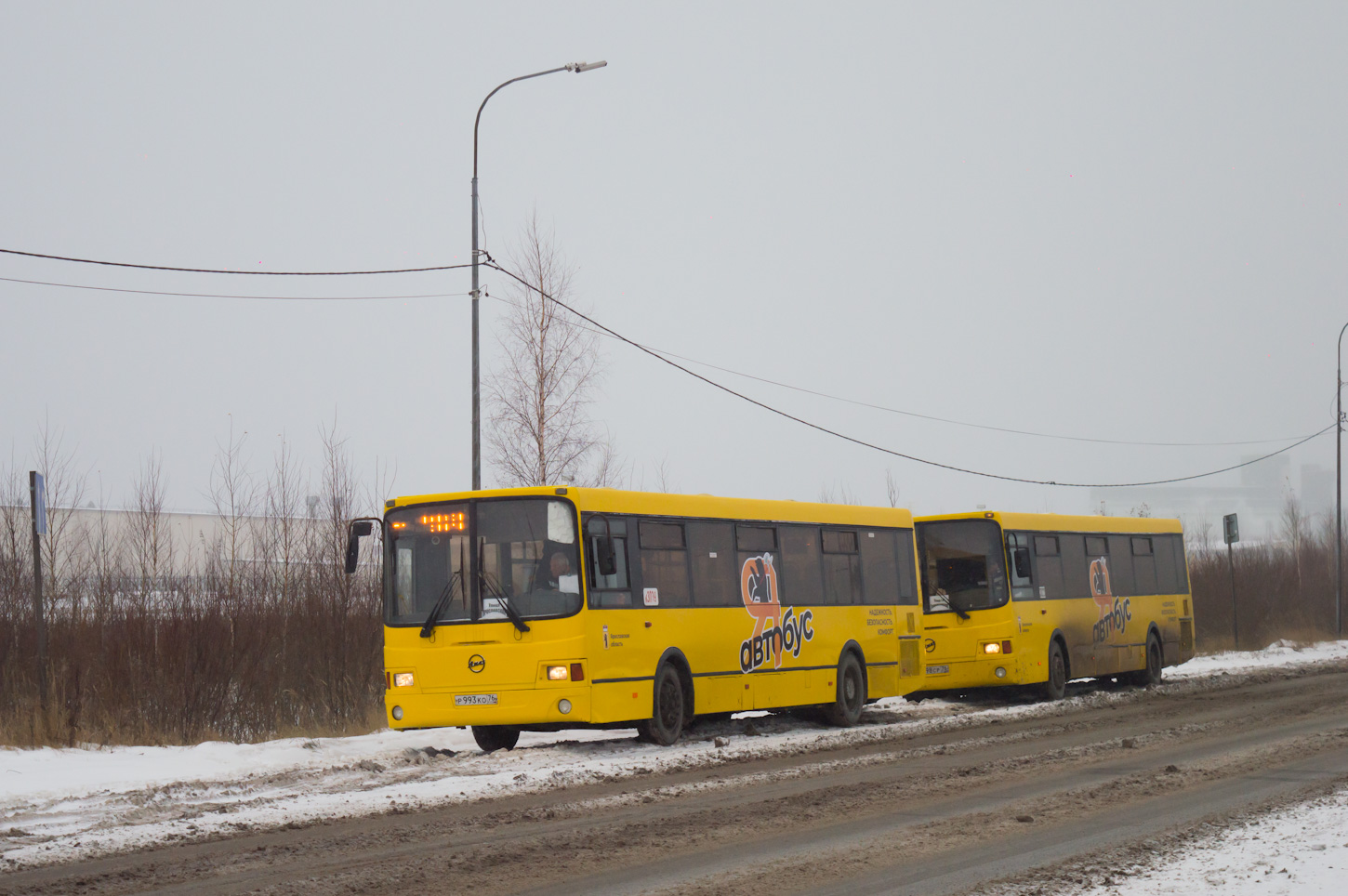 Ярославская область, ЛиАЗ-5256.53 № к3039