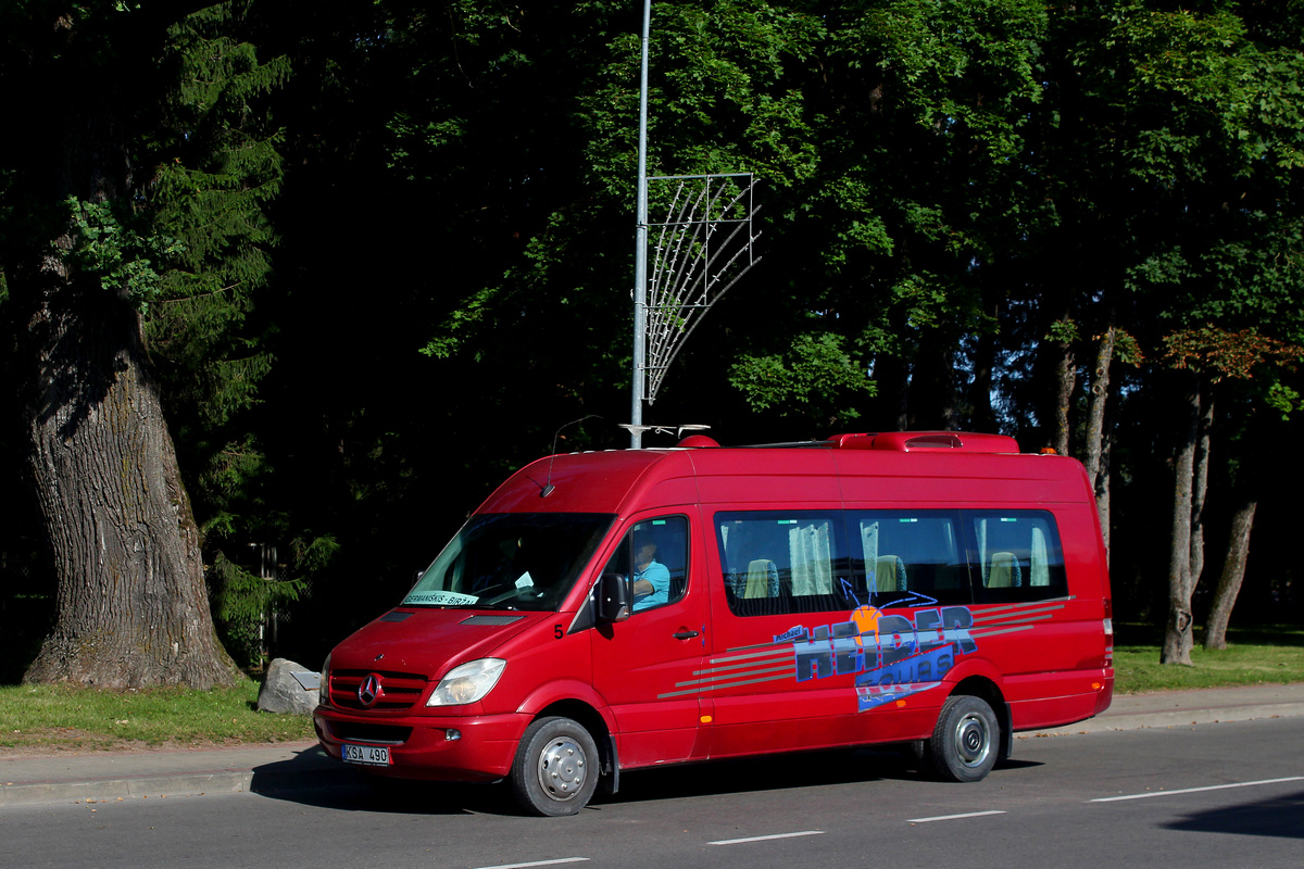 Литва, Mercedes-Benz Sprinter Travel 45 № 5