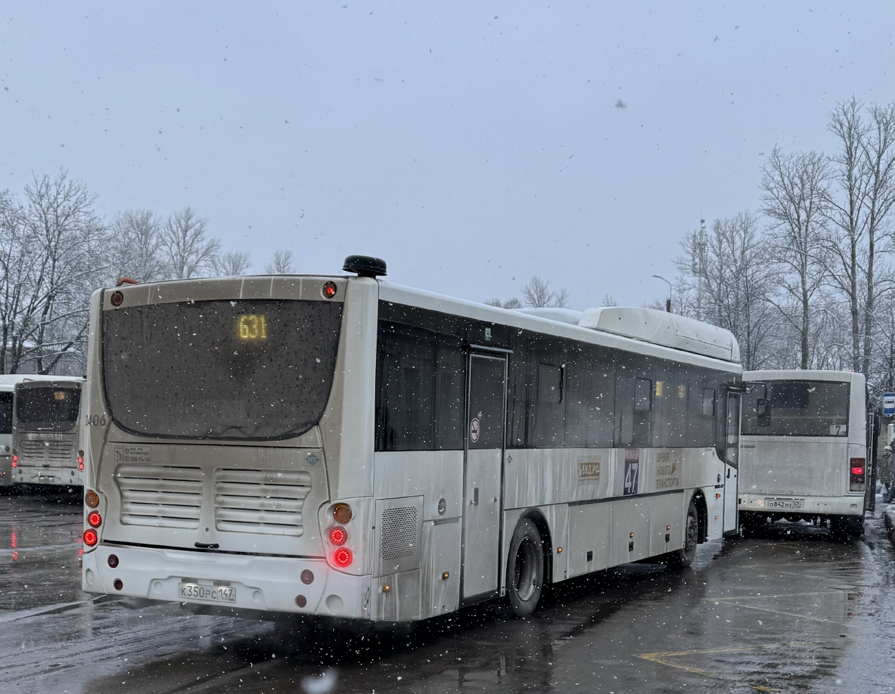 Ленинградская область, Volgabus-5285.G4 № 10406