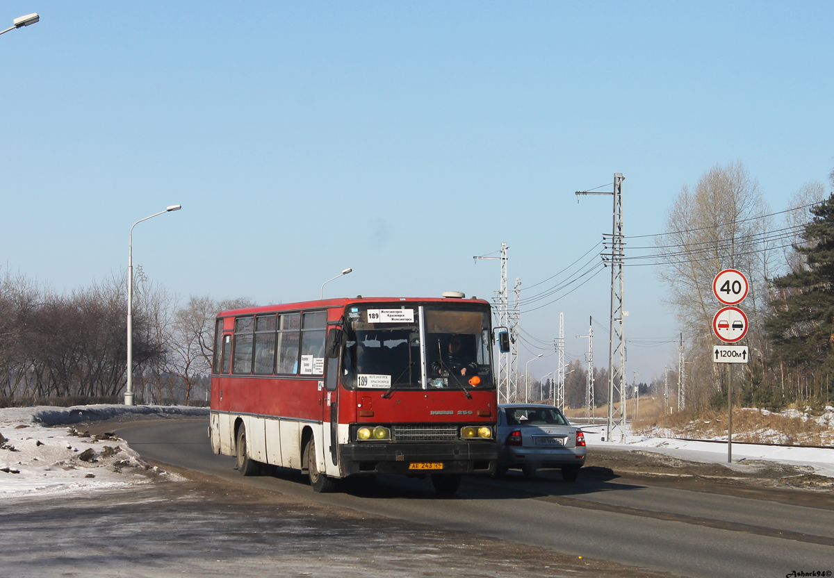 Красноярский край, Ikarus 256.74 № АЕ 243 24