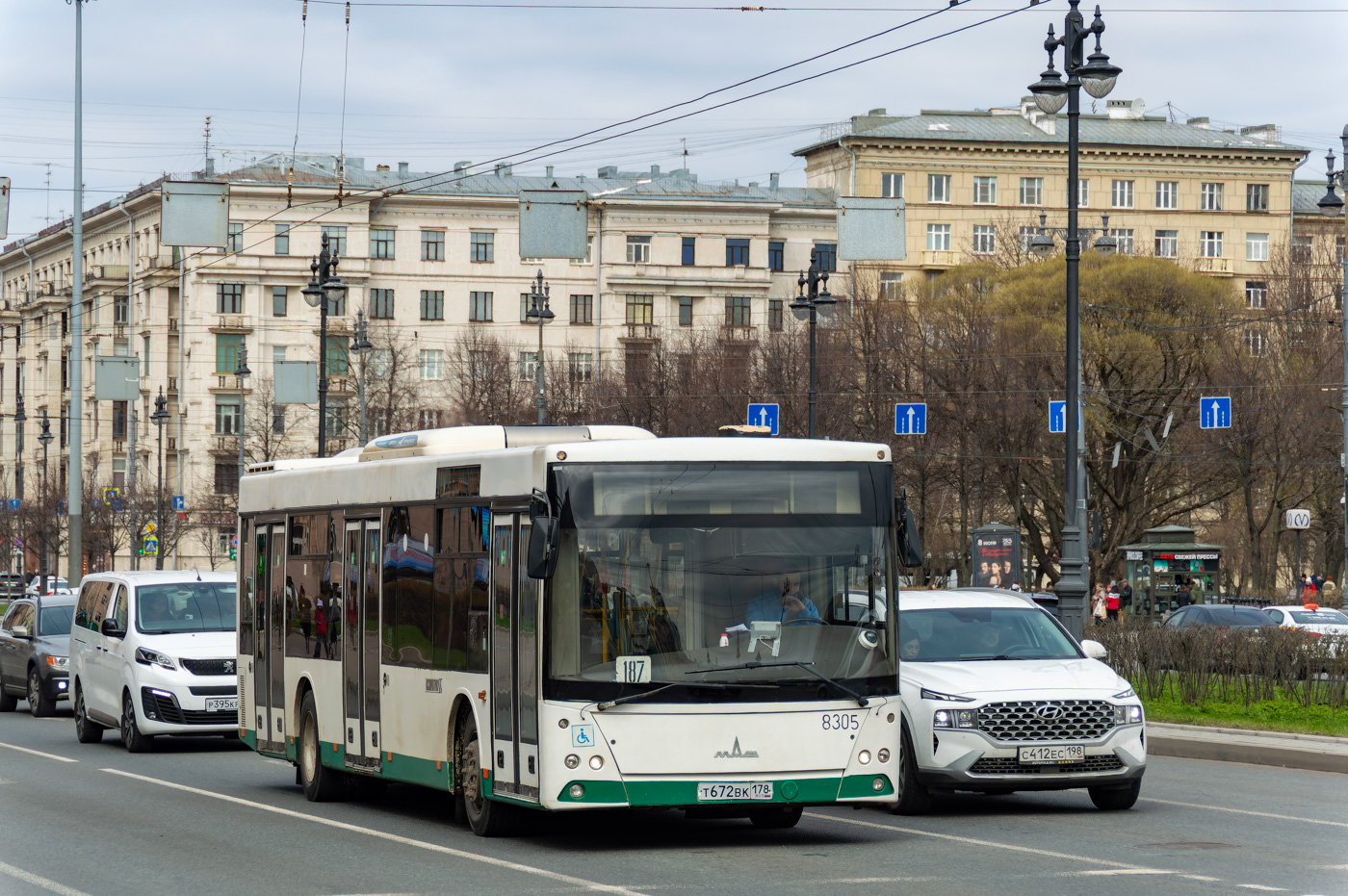 Санкт-Петербург, МАЗ-203.085 № 8305