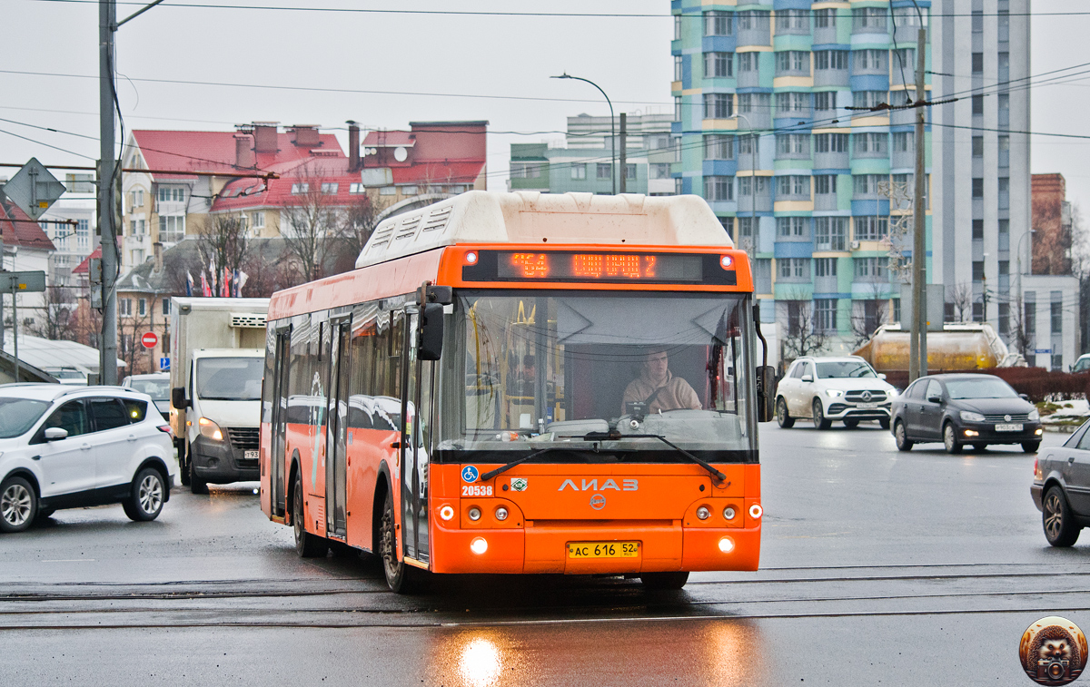 Нижегородская область, ЛиАЗ-5292.67 (CNG) № 20538