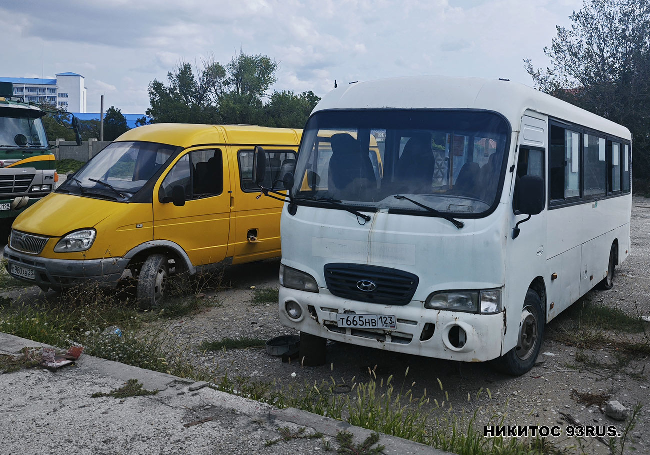 Краснодарский край, Hyundai County LWB C11 (ТагАЗ) № Т 665 НВ 123