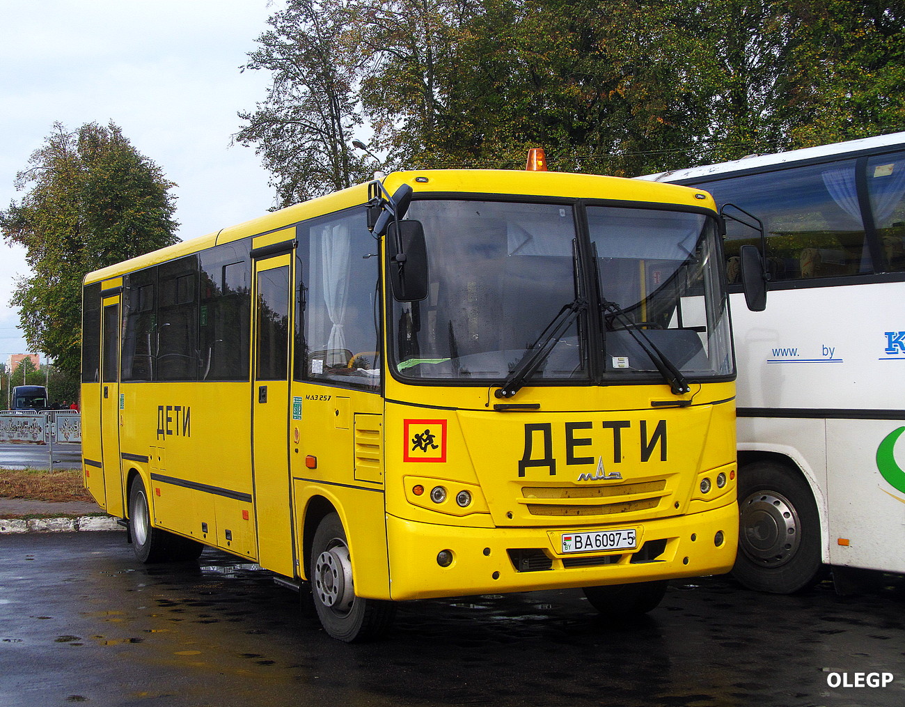 Минская область, МАЗ-257.S40 № ВА 6097-5 Минская область, МАЗ-257.S40 № ВА 6097-5