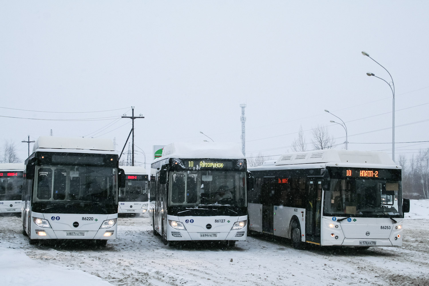 Ханты-Мансийский АО, Lotos-105C02 № 86220; Ханты-Мансийский АО, Lotos-105C02 № 86127