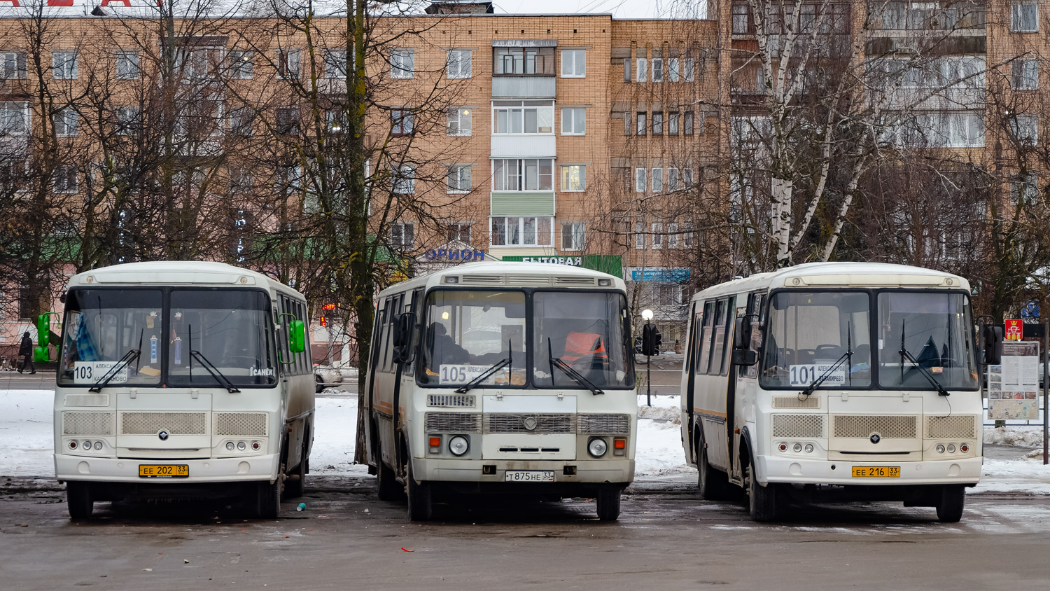 Владимирская область, ПАЗ-4234-05 № ЕЕ 202 33; Владимирская область, ПАЗ-4234 № Т 875 НЕ 33; Владимирская область, ПАЗ-4234-05 № ЕЕ 216 33