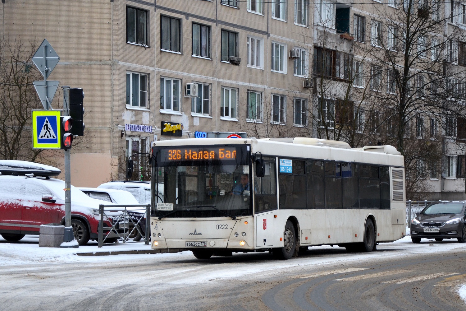 Санкт-Петербург, МАЗ-203.085 № 8222