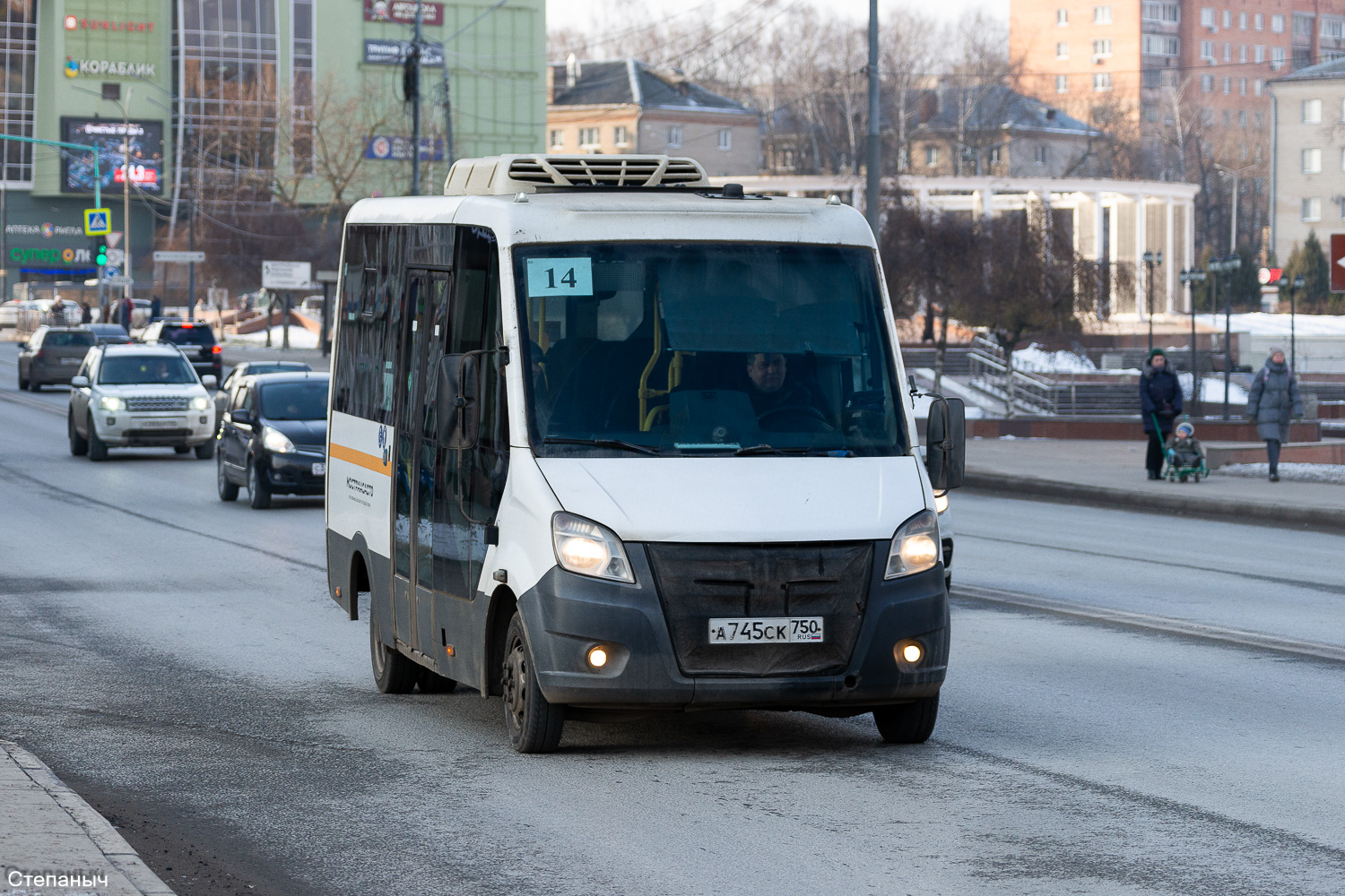 Московская область, Луидор-2250DS (ГАЗ Next) № 7451