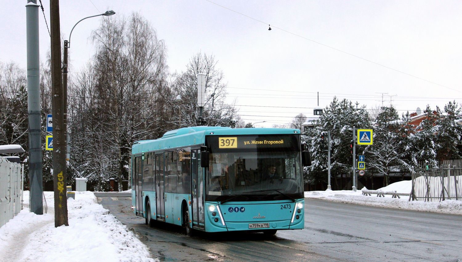 Санкт-Петербург, МАЗ-203.047 № 2473