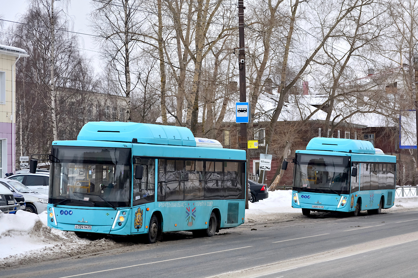 Архангельская область, МАЗ-206.948 № О 724 ТМ 29