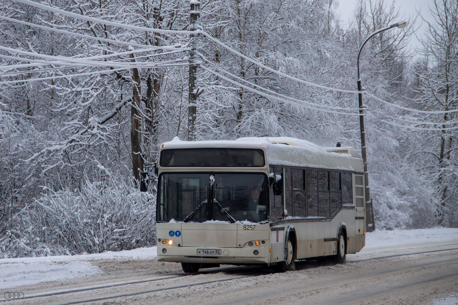 Санкт-Петербург, МАЗ-103.486 № 8257