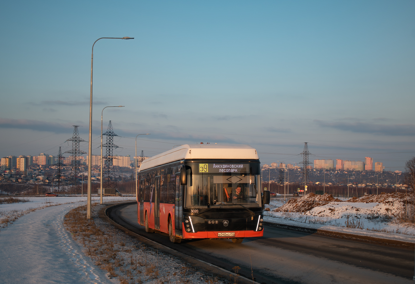 Нижегородская область, ЛиАЗ-6274 № 3020