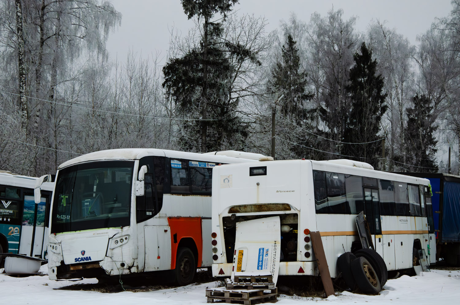 Московская область, ГолАЗ-525110-11 "Вояж" № ЕТ 050 50